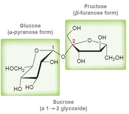 Дисахариди САХАРОЗА моносахаридите (глукоза и фруктоза) се поврзани преку аномерните С атоми (1 2 β-гликозид) НЕредуцирачки шеќер