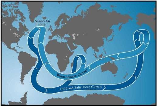 זרמי האוקיינוס זרמי עומק: זרמים איטיים המוסעים בגלל שינויי צפיפות.