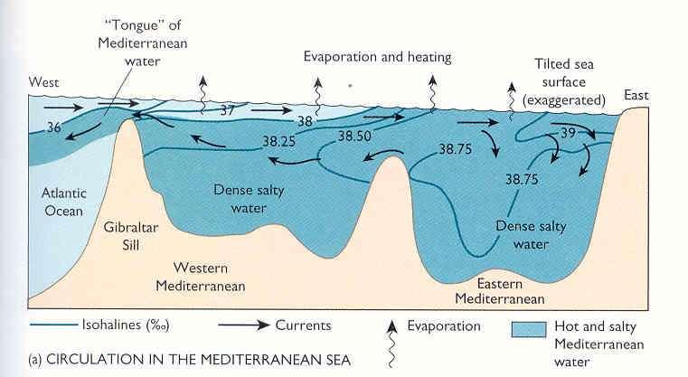 הים התיכון הים התיכון הינו אגן כמעט סגור ההתאדות גדולה מאד ואין איזון של מים