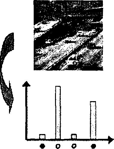 S Δημιουργία ενός οπτικού λεξικού (visual vocabulary), με χρήση ενός αλγόριθμου ομαδοποίησης (clustering).