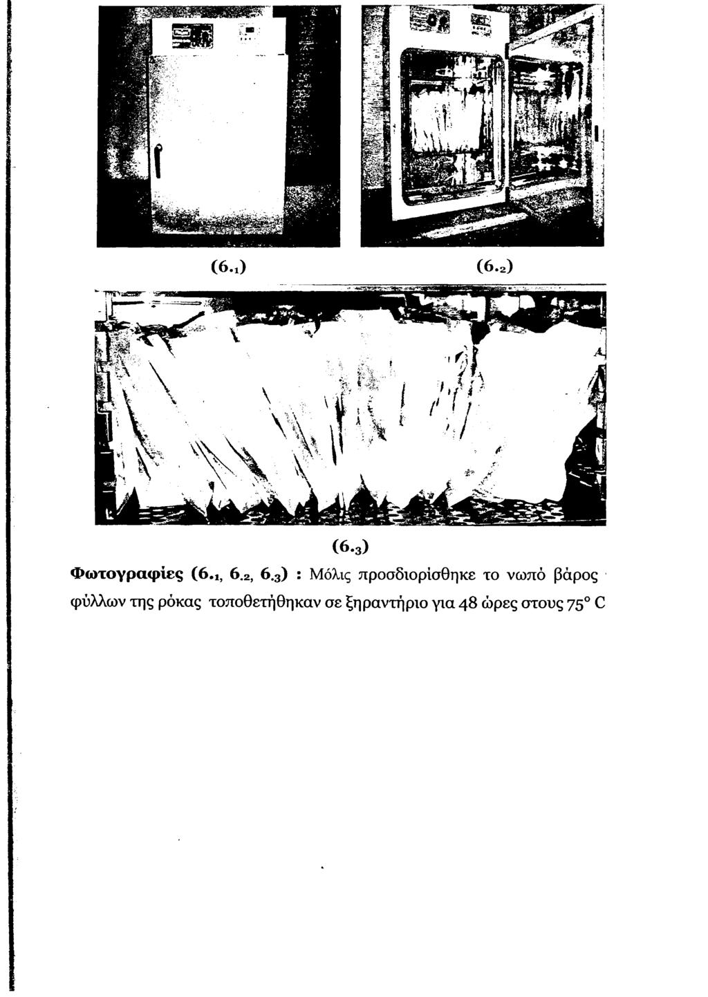 ( 6.3) Φωτογραφίες (6 ι, 6.2, 6.