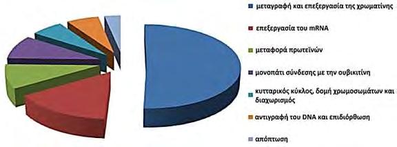 Κεφάλαιο 1ο Εισαγωγή Εικόνα 1.7. Σχηματική αναπαράσταση της πρωτεΐνης Ε2, όπου επισημαίνονται τα κύρια λειτουργικά της τμήματα.