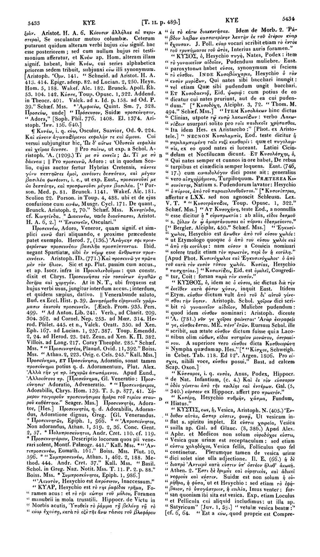 5433 KYE ξιάν. Aristot. Η. Α. 6. Κύονσιν άλληλαί αί περιστερά!, Α " ες τό κάτω διακεντήσας. Se osculantur mutuo columba;. Ceterum putarunt quidam alteram verbi hujus κνω signif.