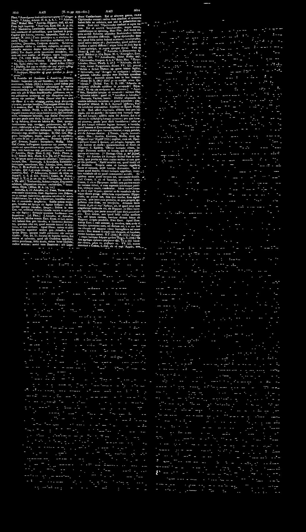 * " Λάπτης, habet folia ac rubriora, non nisi in palustribus nascens. Sunt QUI Ύδρολάπαθον tradunt in aqua na- Hes." Wakef. Mss. * Λαπτήρ, Hippocr. 546, 43. sed Foes, legit λαμπτήρ. * Λαπ-iKos, Eust.