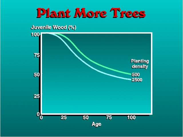 αύξηση πυκνότητας δένδρων