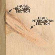 A spike knot may be tight at its base (the intergrown portion) and loose at its end (the encased portion).