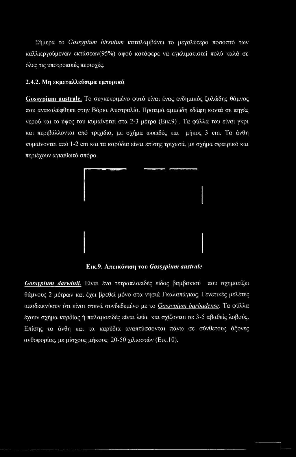 Προτιμά αμμώδη εδάφη κοντά σε πηγές νερού και το ύψος του κυμαίνεται στα 2-3 μέτρα (Εικ.9). Τα φύλλα του είναι γκρι και περιβάλλονται από τρίχιδια, με σχήμα ωοειδές και μήκος 3 cm.