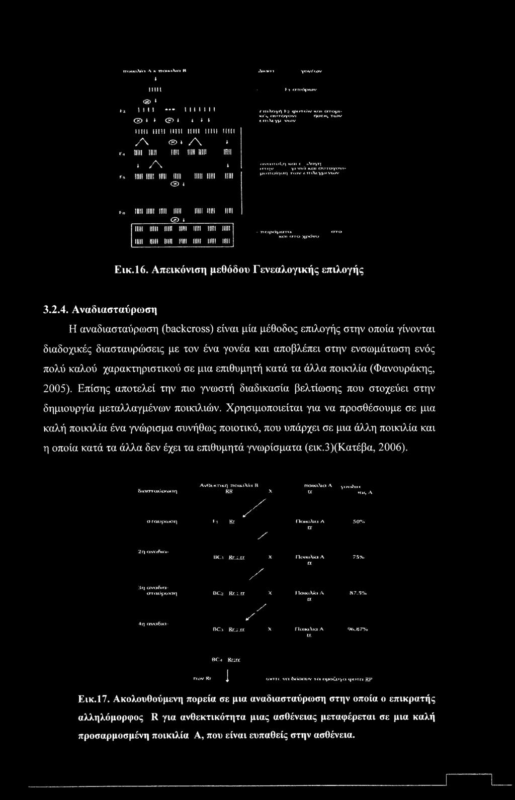 ν y«:v»*s **» mrwyov»* μοιβολίβ»}»«w <e:rria*;:>ficv»jciv r» inn inn inn inn * mu lllll nit Hill illli till MB III!! Sill! Ml nil! Hill Dll Ml Hill III!! MS -rr«f(x%*cs-rc««ττ<» kc<u «# * «XjpwSw» Εικ.