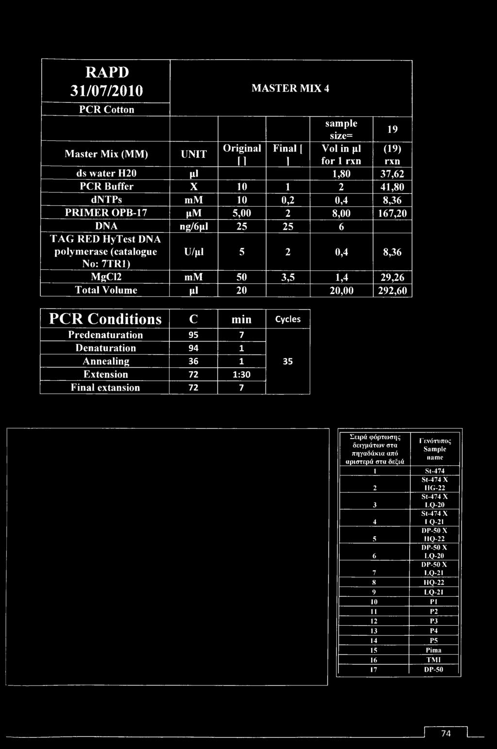 PCR Conditions c min Cycles Predenaturation 95 7 Denaturation 94 1 Annealing 36 1 Extension 72 1:30 Final extansion 72 7 35 Σειρά φόρτωσης δειγμάτων στα πηγαδάκια από αριστερά στα δεξιά Γ
