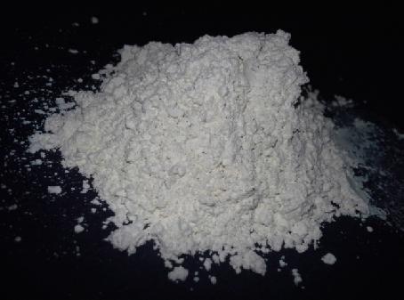 Η γη διατόμων (Diatomaceous earth), που ουσιαστικά είναι απολιθωμένα υπολείμματα διατόμων. III.