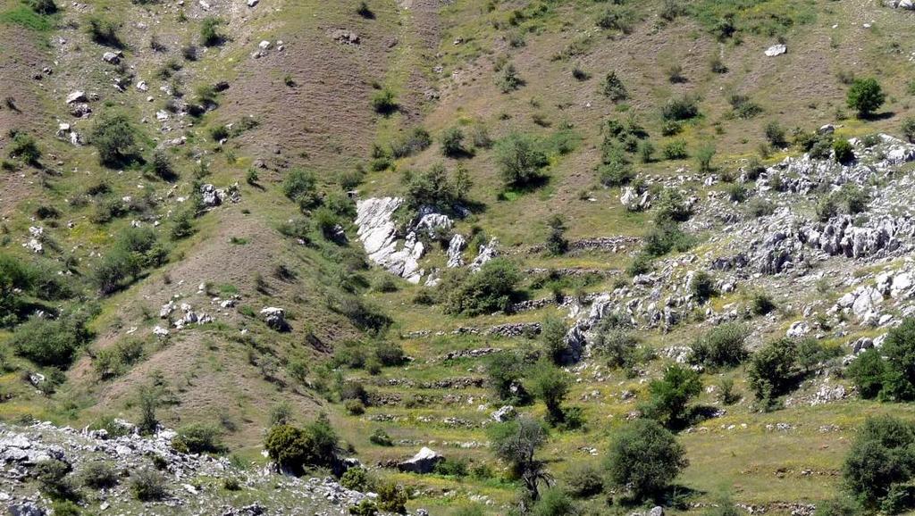 Αναγνώριση επαφών