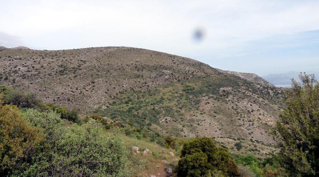 Αναγνώριση επαφών