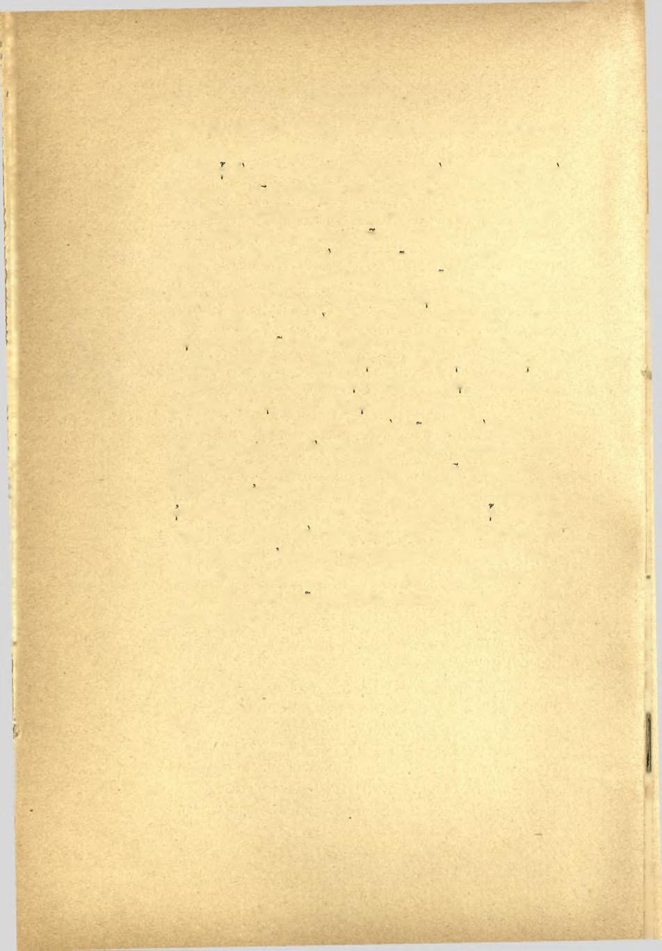 24 Πρακτικά τοΐ 1899 σφάλισε κα'ι έπεστέγασε δύο άνακαλυφθέντα μωσαϊκά έν Πάτραις καί έν Σπάρτη.