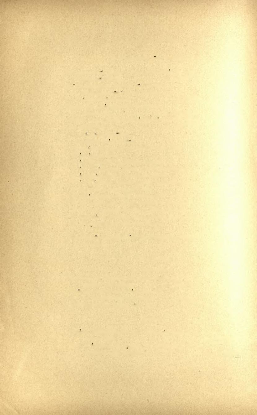 28 Πρακτική τοϋ 1899 Β' Πϊριονήία της Εταιρείας Ή περιουσία της Εταιρείας άνήρχετο χατά την 31 Δεκεμβρίου του 1898 εϊς... Δρ. 578,800.