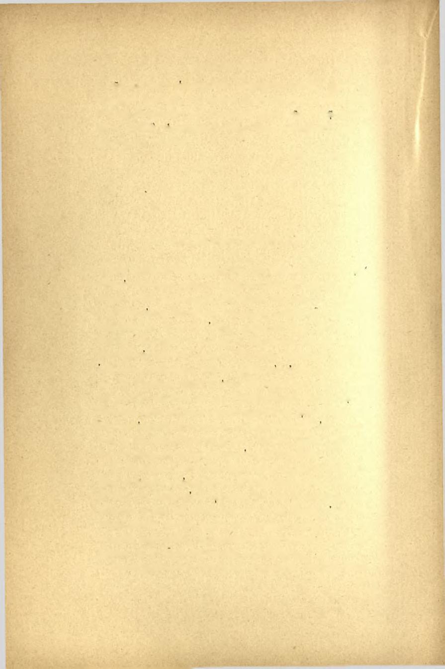 34 Πρακτικά τοΰ 1899 έκ των έκ,εΐ είσέτι ευρισκομένων μαρμάρινων καλπών καί άλλων μαρμάρων φαίνεται, ότι έχουσιν άνασκαφή ήδη άρκετοί τάφοι ύπό τοΰ ιδιοκτήτου- τήν άνασκαφήν όμως των έν τω κτήματι