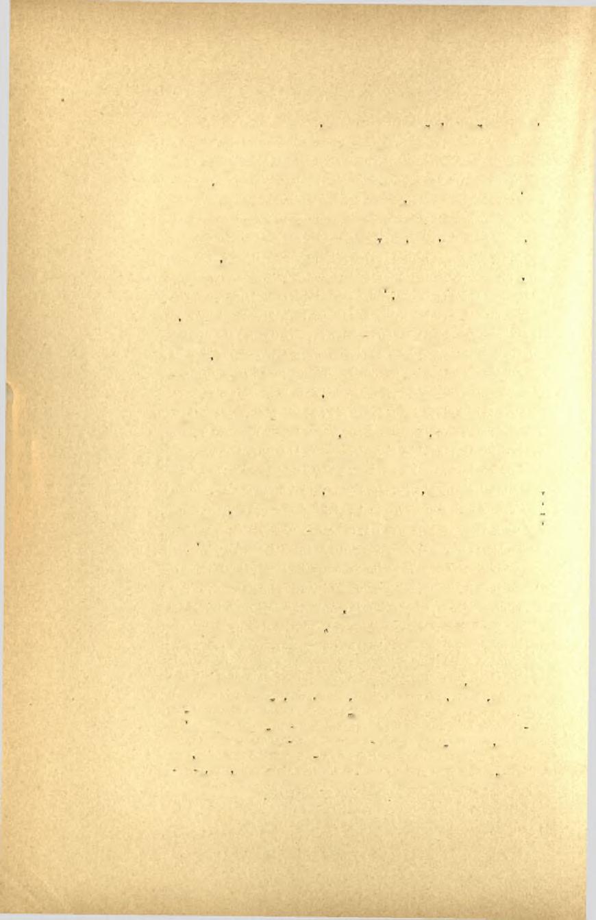 46 Πρακτικά τοϋ 1899 νες άποτελοΰσι βεβαίως επισκευήν τινα του αρχικού έκ πώρινων λίθων περιβόλου.
