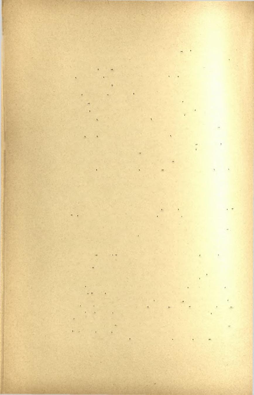 78 Πρακτικά τοϋ 1899 Sevov τά πλοϊα(ι) μέχρι τοΰ Δ. πέρατος των αρχαίων Στενών. Ώς γνωστόν, αί Θερμοπύλαι, αΐτινες καί Στενά, κατά τον Στράβωνα εκαλούντο (Θ'. Κεφάλ.