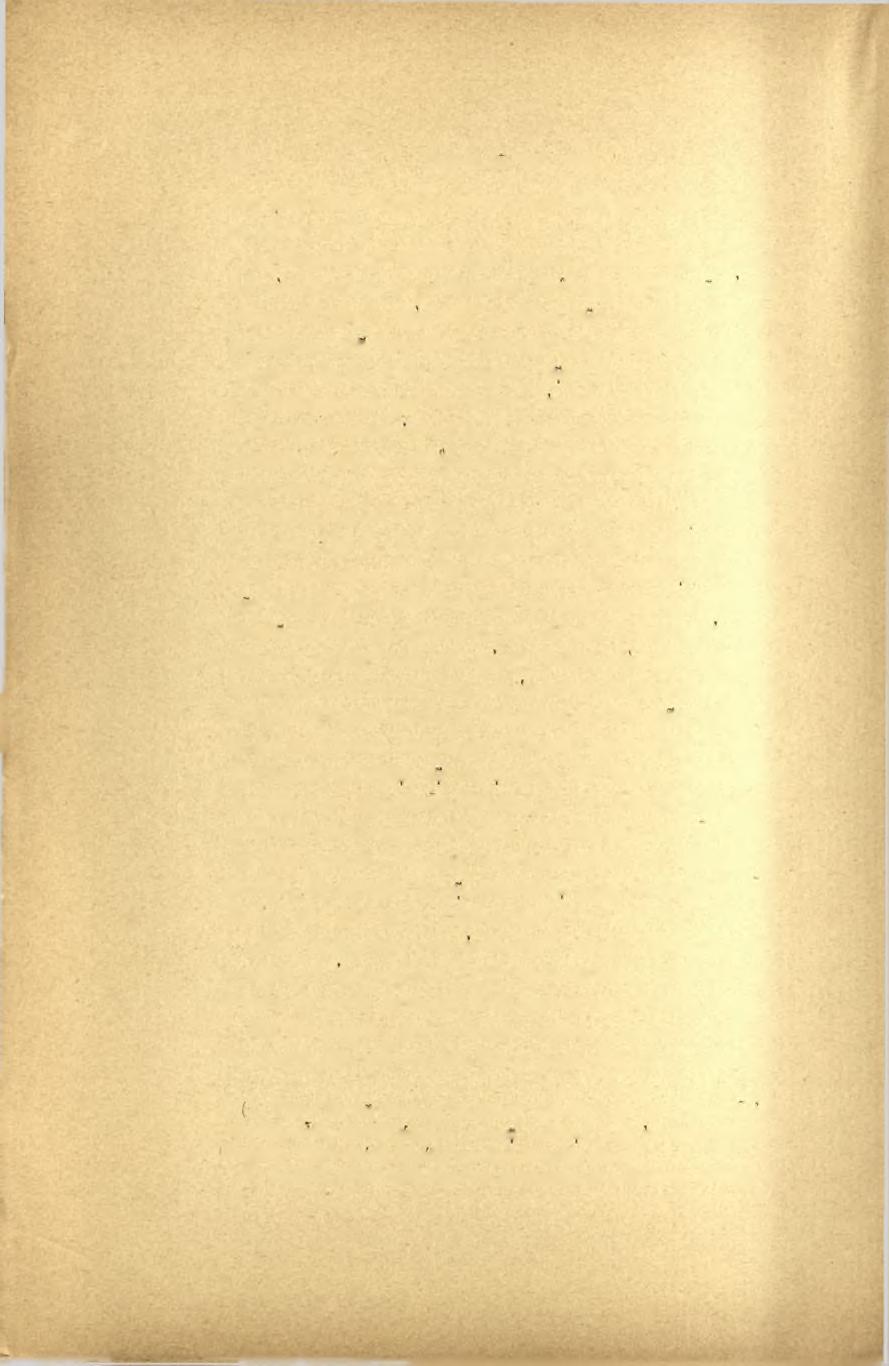 96 Πρακτικό, τοϋ 1899 τας (ΙασΊλεύς, άρετάς μέγαν λελοιπώς κόσμον άέναόν τε κλέος» (1).