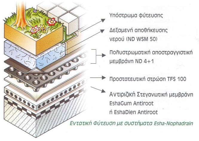 ΦΤΣΕΜΕΝΑ