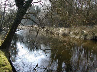 ΒΑΣΙΚΑ ΧΑΡΑΚΤΗΡΙΣΤΙΚΑ ΠΕΡΙΟΧΗΣ ΜΕΛΕΤΗΣ Περιοχή με αξιόλογους