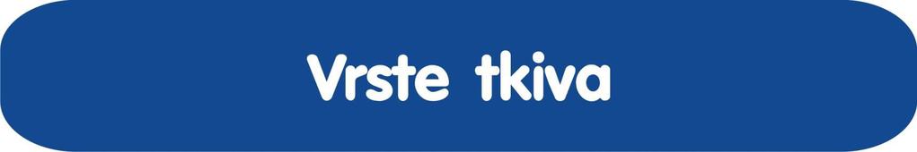 Epitelno tkivo Vezivno