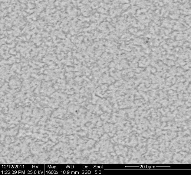 3.2.2 Μικροσκοπική παρατήρηση Η μορφολογία της επιφάνειας των αποθεμάτων μελετήθηκε με τη βοήθεια ηλεκτρονικού μικροσκοπίου σάρωσης SEM, τύπου Quanta 200 της εταιρίας FEI.