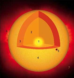 Ο Ήλιος μπορούμε να πούμε ότι από-τελείται από διάφορα στρώματα, τα οποία τον περιβάλλουν από μέσα προς τα έξω όπως οι φλοιοί ενός κρεμμυδιού. Αυτά, ξεκινώντας από το κέντρο είναι: 1.