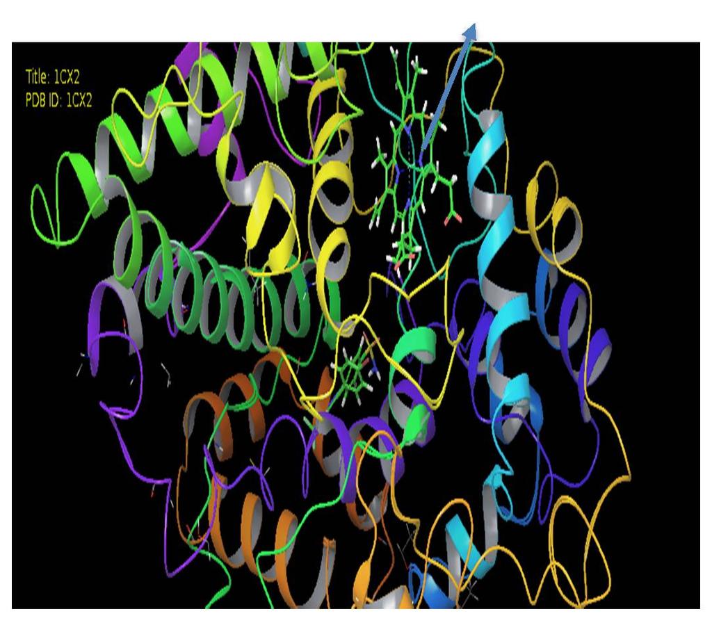Οι μελέτες μοριακής πρόσδεσης έγιναν στο ενεργό κέντρο του ενζύμου (Εικόνα 1) που ορίστηκε με ένα κυβικό πλέγμα διαστάσεων 1,2Α η κάθε πλευρά.