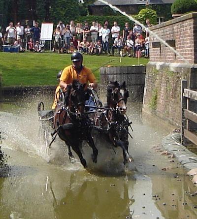 40. Want Athene had vurigheid in de paarden gezonden en roem aan hem verleend. Na hem dan hield/mende Atreus zoon de blonde Menelaos zijn paarden. Antilochos spoorde de paarden van zijn vader aan.