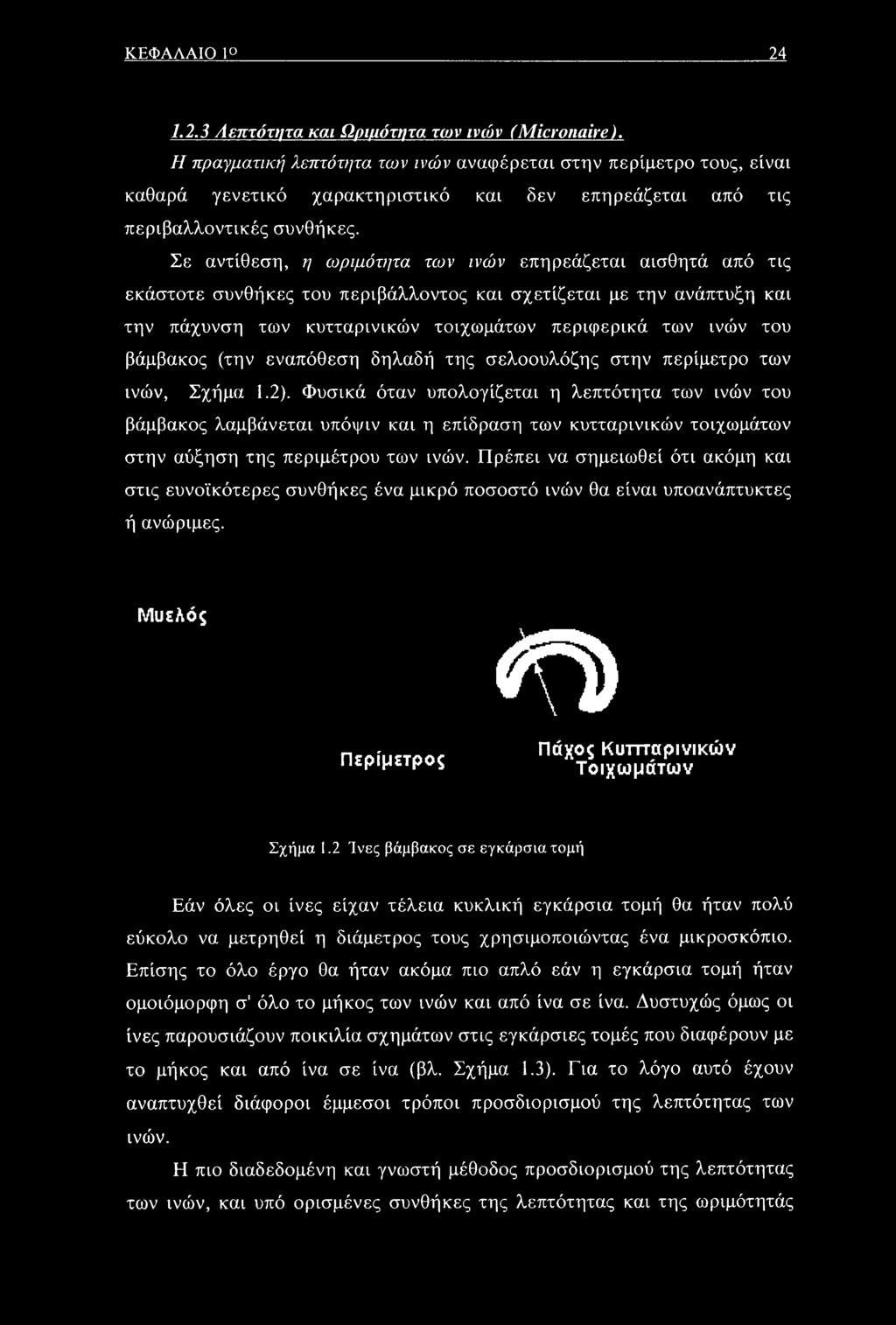 Σε αντίθεση, η ωριμότητα των ινών επηρεάζεται αισθητά από τις εκάστοτε συνθήκες του περιβάλλοντος και σχετίζεται με την ανάπτυξη και την πάχυνση των κυτταρινικών τοιχωμάτων περιφερικά των ινών του