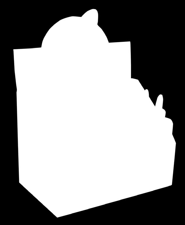 100ml