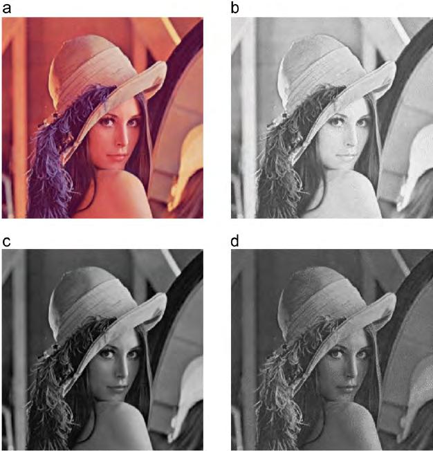 Κεφάλαιο 1: Εισαγωγή στην Ψηφιακή Εικόνα Εικόνα 1.1 : (α) Αρχική RGB εικόνα, (b) Red συνιστώσα, (c) Green συνιστώσα, (d) Βlue συνιστώσα 1.