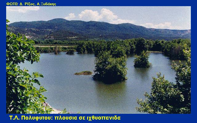 Νοέµβριος 2011 Μικρά