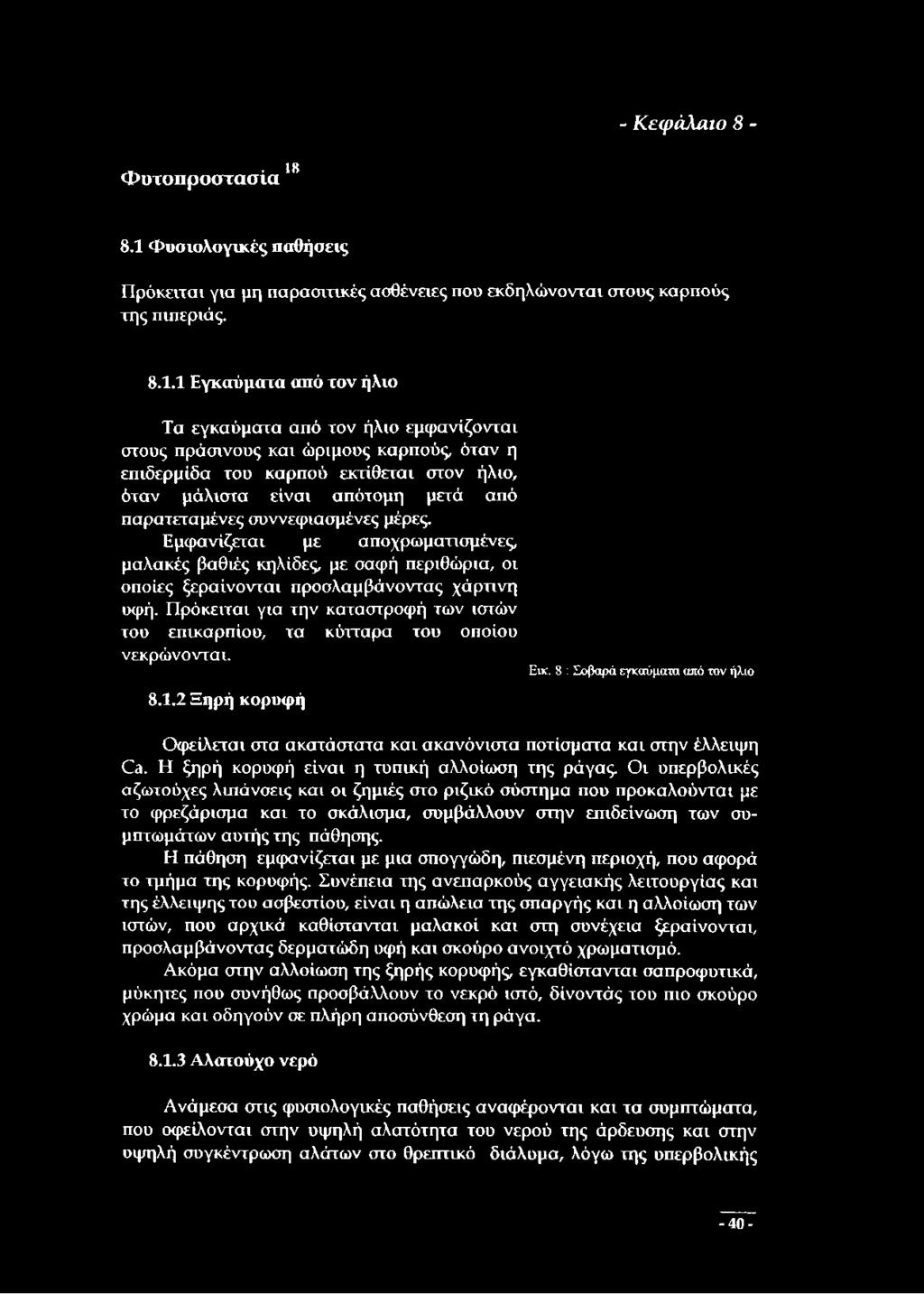 ώριμους καρπούς, όταν η επιδερμίδα του καρπού εκτίθεται στον ήλιο, όταν μάλιστα είναι απότομη μετά από παρατεταμένες συννεφιασμένες μέρες.