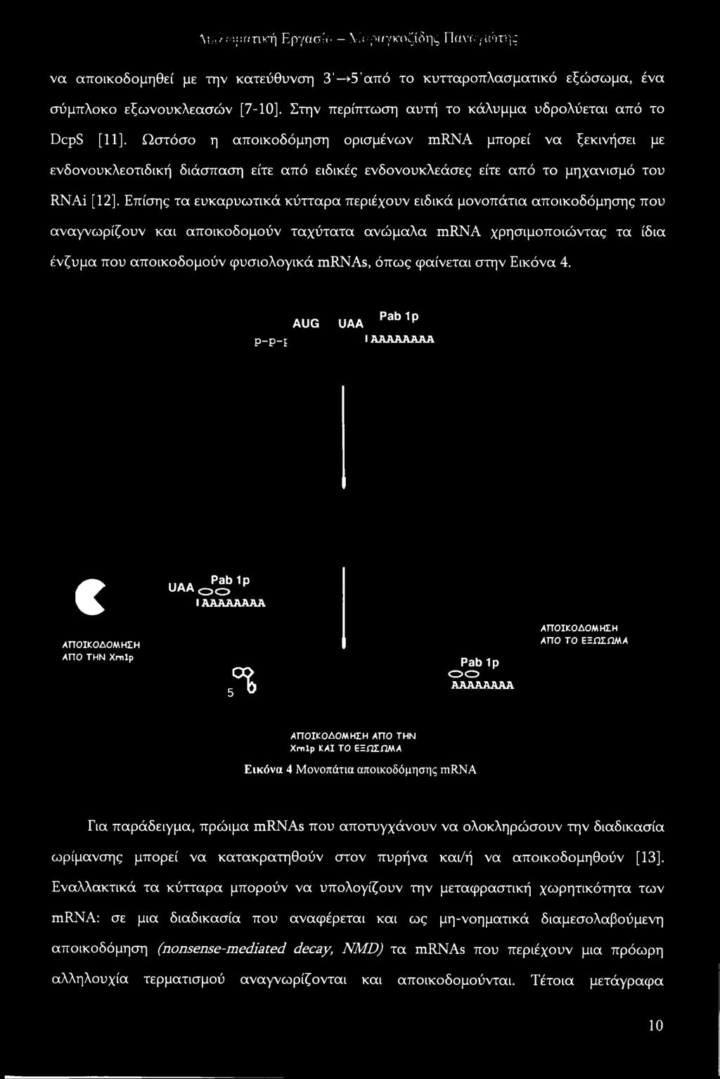 Επίσης τα ευκαρυωτικά κύτταρα περιέχουν ειδικά μονοπάτια αποικοδόμησης που αναγνωρίζουν και αποικοδομούν ταχύτατα ανώμαλα mrna χρησιμοποιώντας τα ίδια ένζυμα που αποικοδομούν φυσιολογικά mrnas, όπως