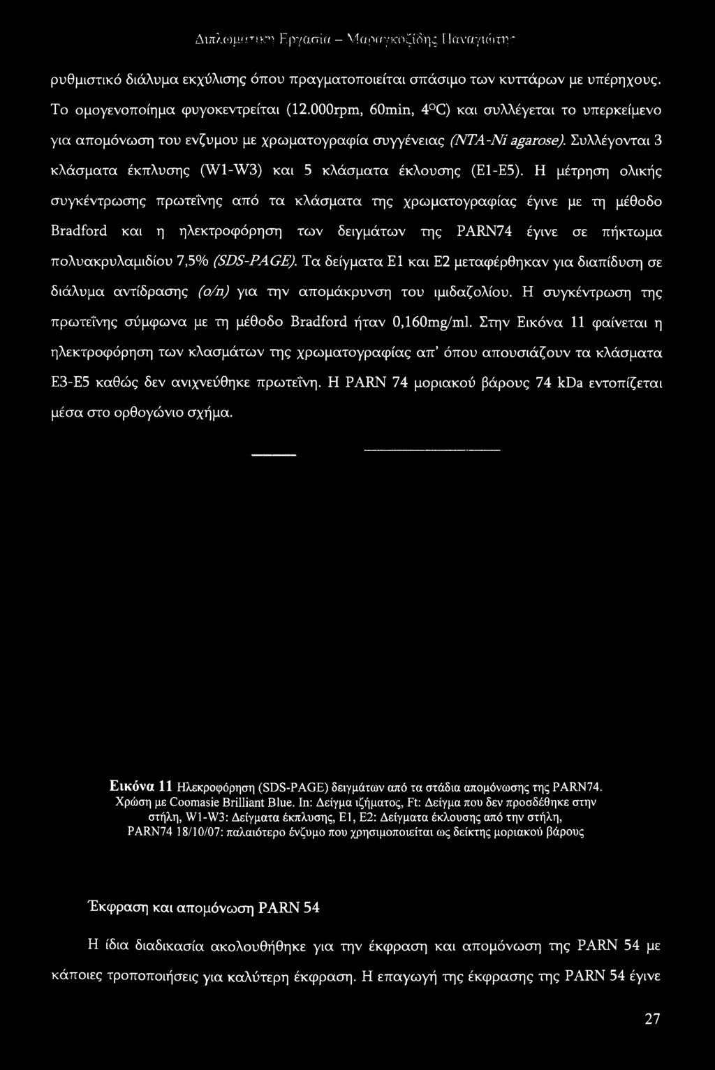 Στην Εικόνα 11 φαίνεται η ηλεκτροφόρηση των κλασμάτων της χρωματογραφίας απ όπου απουσιάζουν τα κλάσματα Ε3-Ε5 καθώς δεν ανιχνεύθηκε πρωτεΐνη.