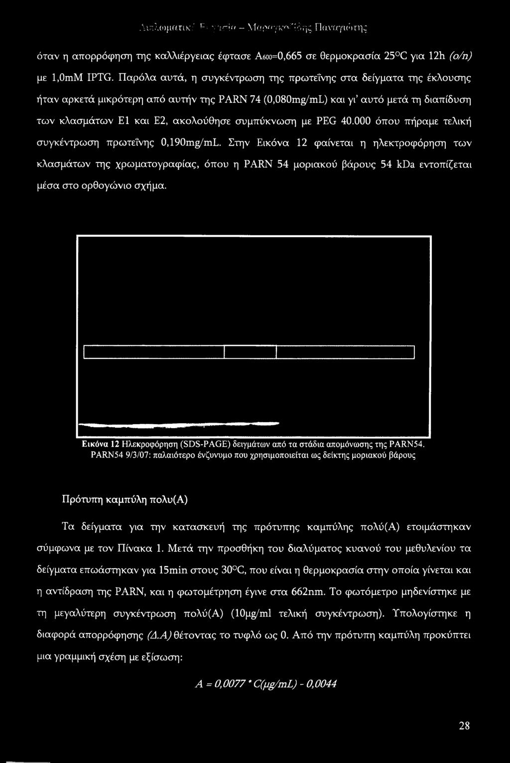 Εικόνα 12 Ηλεκροφόρηση (SDS-PAGE) δειγμάτων από τα στάδια απομόνωσης της PARN54.