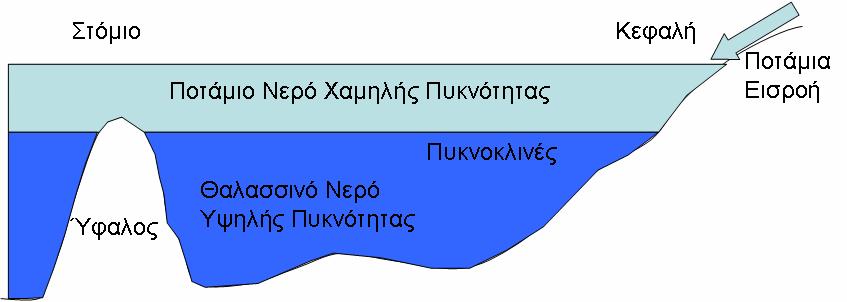 Γεωμορφολογικό Σύστημα Ταξινόμησης Παράκτιων Υδατικών Συστημάτων β) τα φιόρδ (fjords) Είναι πλημμυρισμένες παγετώδεις κοιλάδες που πλημμύρισαν με θαλασσινό νερό.