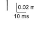 (Εικόνα Β.Ι.3.4Β).