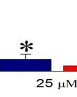 κάτω από 25μΜ NMDA για τον