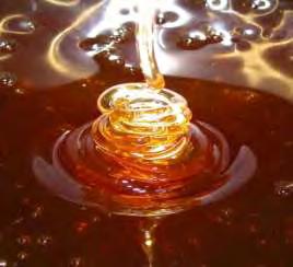 1.1.1 Συστατικά και διατροφική αξία του μελιού Το μέλι είναι το προϊόν που παράγουν οι μέλισσες από το νέκταρ ή τα διάφορα μελιτώματα φυτών και αποτελεί μια πολύτιμη φυσική θρεπτική τροφή,