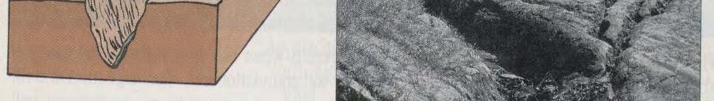 καναλιών ή