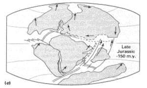 Το 1912 ο Alfred Wegener διατύπωσε (αξιοποιώντας και τις ιδέες προγενέστερων επιστημόνων) μια ολοκληρωμένη θεωρία, σύμφωνα με την οποία οι ήπειροι κάποτε σχημάτιζαν μια μοναδική εδαφική