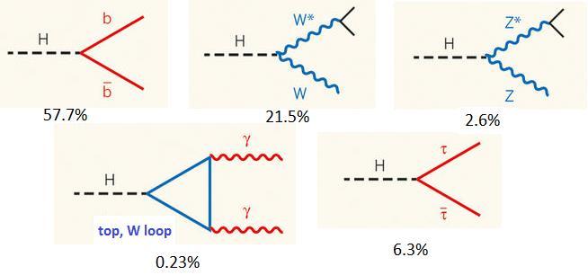 10 όπου V = W ± ή Ζ και δ W = 1, δ Ζ = 1/2. Κατά συνέπεια, οι κύριοι μηχανισμοί διάσπασης (και παραγωγής) του Higgs περιλαμβάνουν συζεύξεις του H με τα W, Z και/ή τρίτης γενιάς κουάρκ και λεπτόνια.