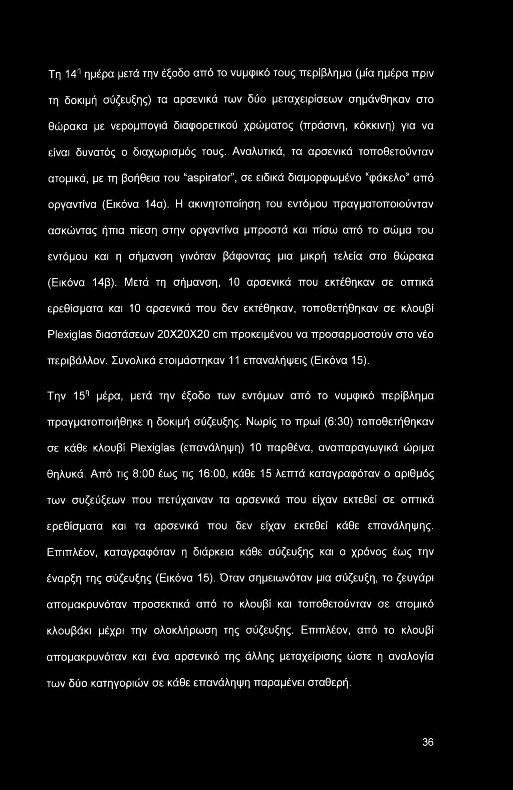 Τη 14η ημέρα μετά την έξοδο από το νυμφικό τους περίβλημα (μία ημέρα πριν τη δοκιμή σύζευξης) τα αρσενικά των δύο μεταχειρίσεων σημάνθηκαν στο θώρακα με νερομπογιά διαφορετικού χρώματος (πράσινη,