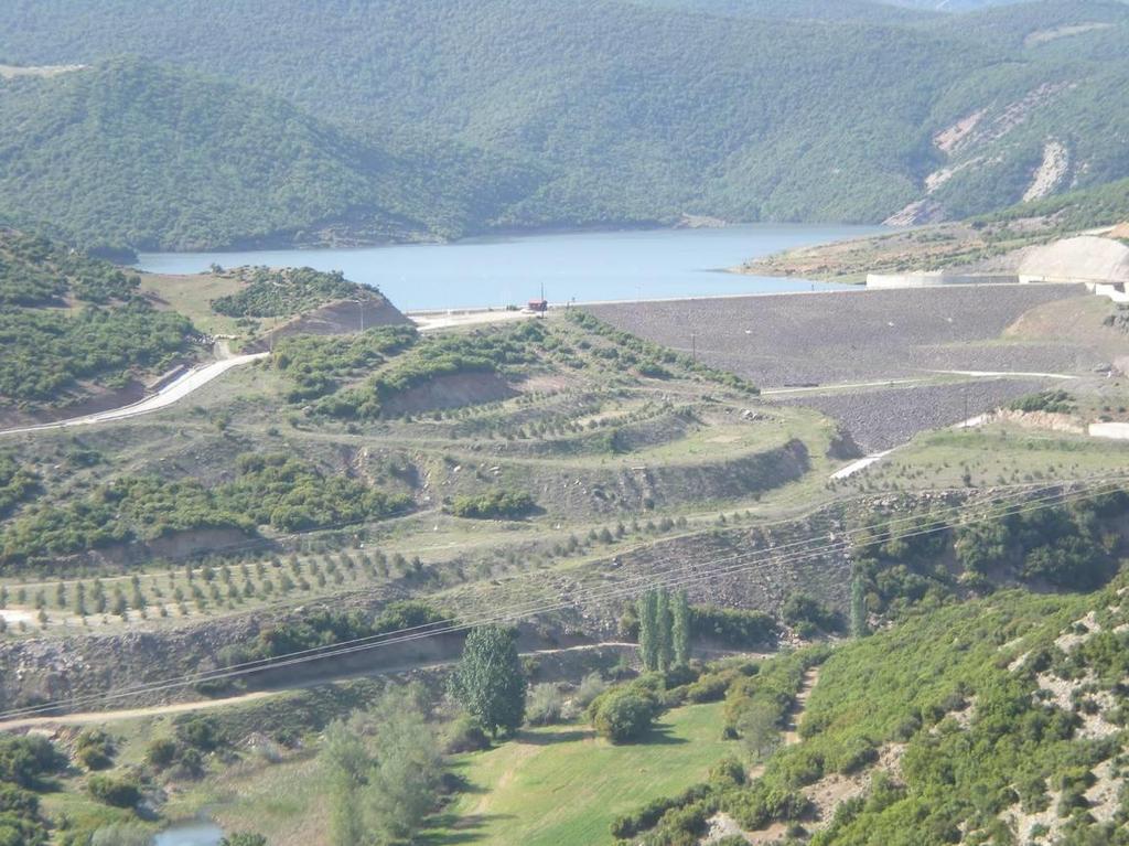 Ύψος φράγματος : 43,10 m Μήκος στέψης : 212,14 m Πλάτος στέψης : 8,00 m Επιφάνεια λεκάνης κατάκλυσης : 1.100 στρέμματα Όγκος ταμιευτήρα : 13.500.