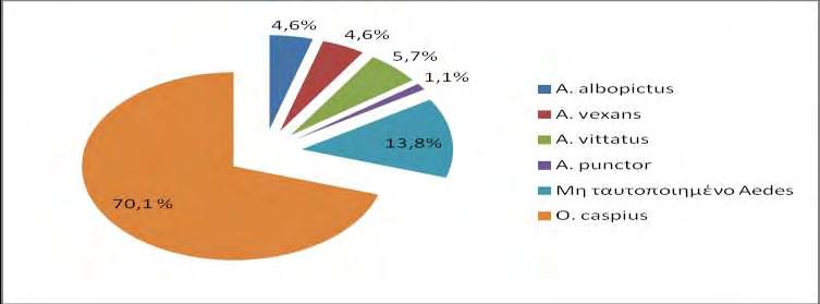 Από το σύνολο των 87 ενηλίκων του συμπλέγματος Aedes/Ochlerotatus το 70.1% ανήκε στο είδος Oc. caspius, ακολουθούμενο από τα Ae. vitatus, Ae. albopictus, και Ae. vexans. Διάγραμμα 18.