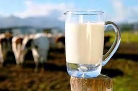 Σύμφωνα με το FAO/WHO(1973) : Γάλα είναι το φυσιολογικό έκκριμα του μαστού που παίρνεται μετά από μία ή δύο αμέλξεις χωρίς να προστεθεί ή να αφαιρεθεί τίποτε και προορίζεται για κατανάλωση σε υγρή