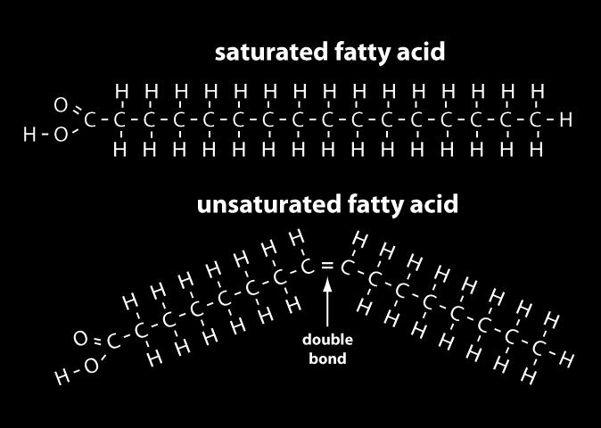 Έτσι, προκύπτουν τα cis- και trans- γεωμετρικά ισομερή, όπου τα πρώτα αναφέρονται στα λιπαρά, όπου τα άτομα του υδρογόνου βρίσκονται από την ίδια πλευρά του διπλού δεσμού, ενώ στα trans βρίσκονται σε