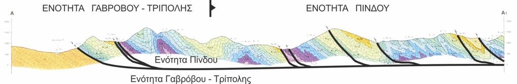 Πίνδου με χαρακτηριστικές λεπιώσεις (imbricate